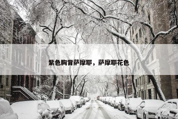 紫色胸背萨摩耶，萨摩耶花色