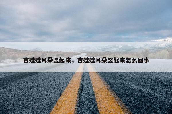 吉娃娃耳朵竖起来，吉娃娃耳朵竖起来怎么回事