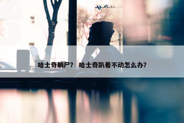哈士奇躺尸？ 哈士奇趴着不动怎么办？