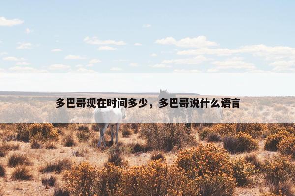 多巴哥现在时间多少，多巴哥说什么语言