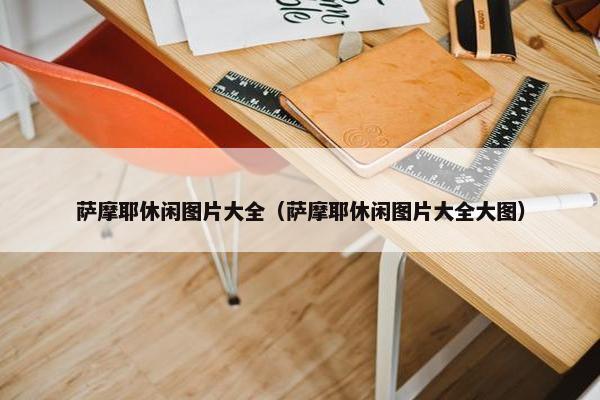 萨摩耶休闲图片大全（萨摩耶休闲图片大全大图）