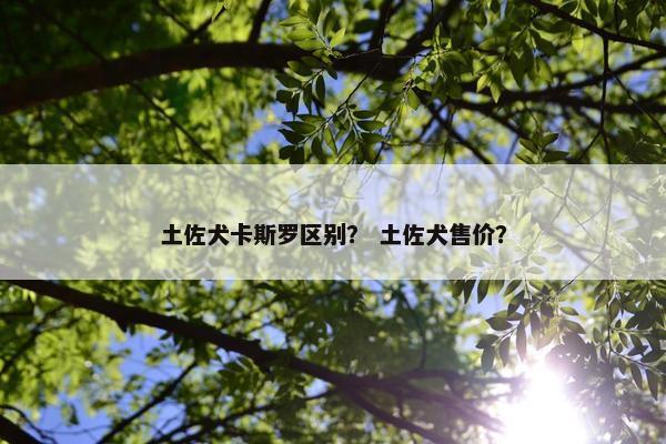 土佐犬卡斯罗区别？ 土佐犬售价？