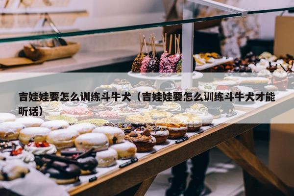 吉娃娃要怎么训练斗牛犬（吉娃娃要怎么训练斗牛犬才能听话）