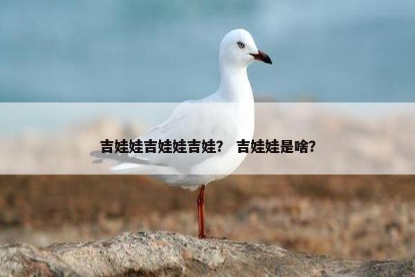 吉娃娃吉娃娃吉娃？ 吉娃娃是啥？