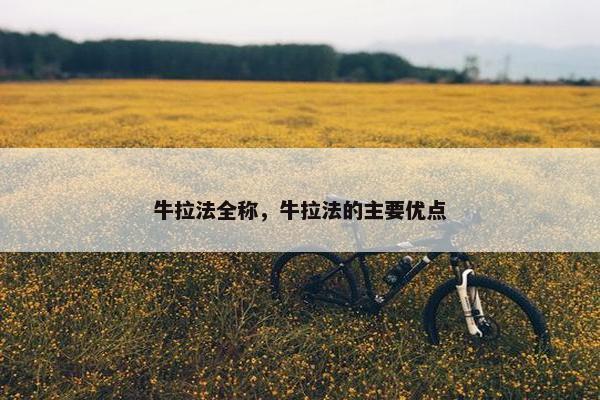 牛拉法全称，牛拉法的主要优点