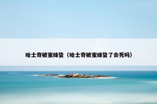 哈士奇被蜜蜂蛰（哈士奇被蜜蜂蛰了会死吗）