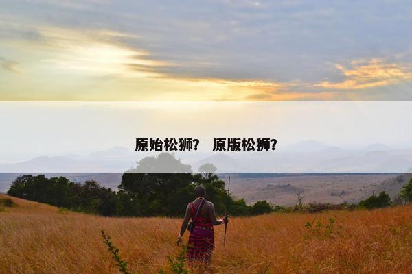 原始松狮？ 原版松狮？