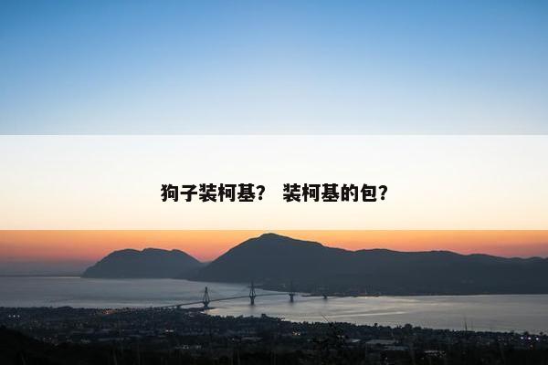 狗子装柯基？ 装柯基的包？