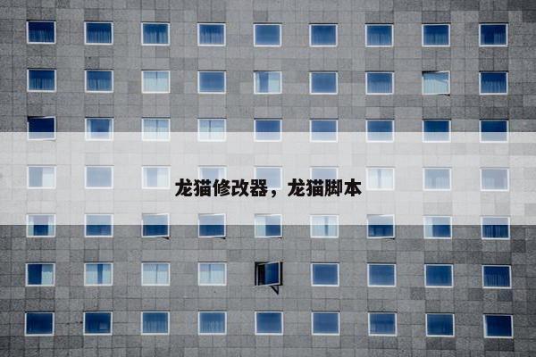龙猫修改器，龙猫脚本