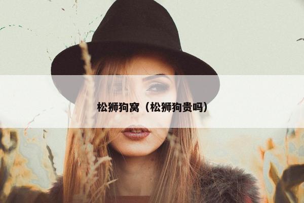 松狮狗窝（松狮狗贵吗）