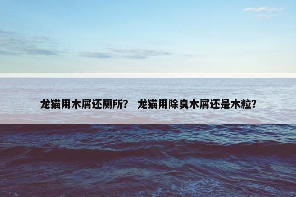 龙猫用木屑还厕所？ 龙猫用除臭木屑还是木粒？