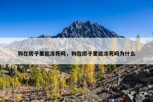 狗在房子里能冻死吗，狗在房子里能冻死吗为什么