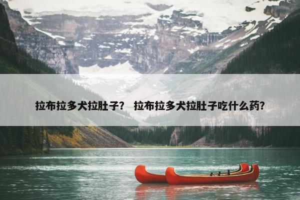 拉布拉多犬拉肚子？ 拉布拉多犬拉肚子吃什么药？