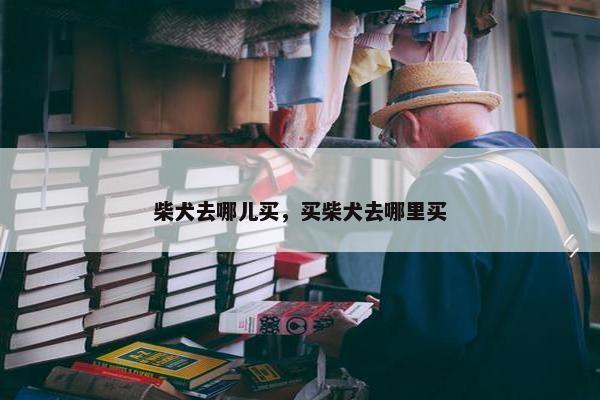 柴犬去哪儿买，买柴犬去哪里买