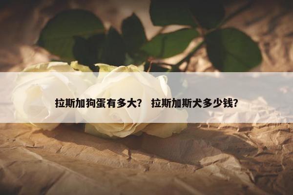 拉斯加狗蛋有多大？ 拉斯加斯犬多少钱？