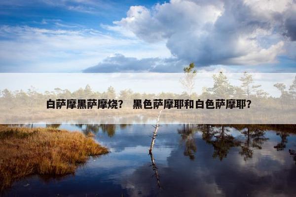 白萨摩黑萨摩烧？ 黑色萨摩耶和白色萨摩耶？