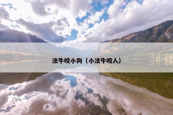 法牛咬小狗（小法牛咬人）