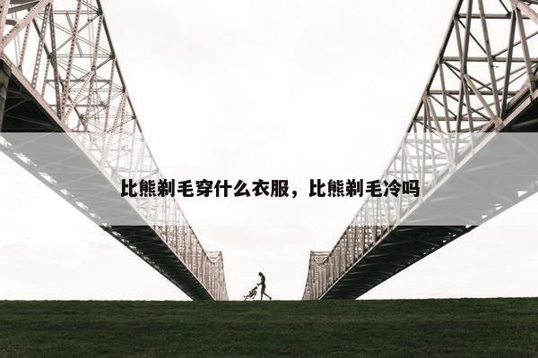 比熊剃毛穿什么衣服，比熊剃毛冷吗