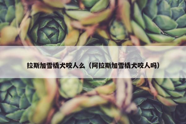 拉斯加雪橇犬咬人么（阿拉斯加雪橇犬咬人吗）