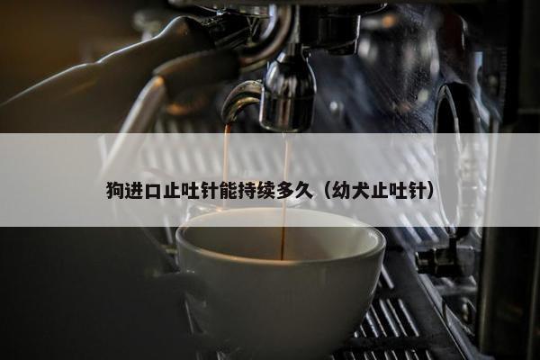 狗进口止吐针能持续多久（幼犬止吐针）