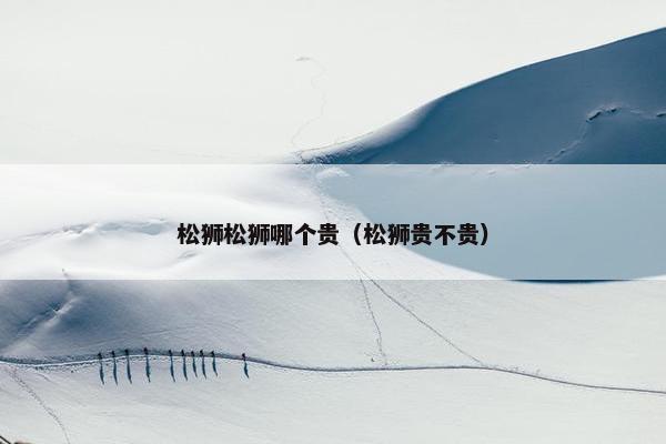 松狮松狮哪个贵（松狮贵不贵）