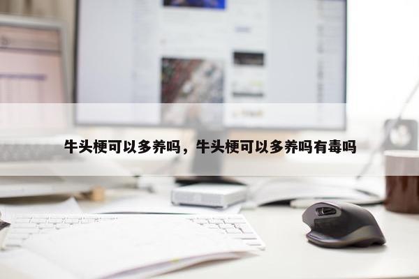 牛头梗可以多养吗，牛头梗可以多养吗有毒吗