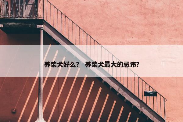 养柴犬好么？ 养柴犬最大的忌讳？