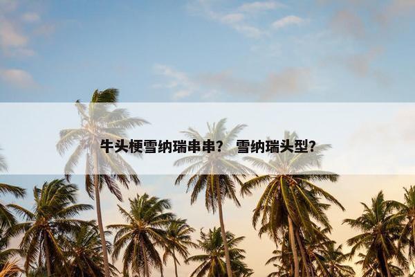 牛头梗雪纳瑞串串？ 雪纳瑞头型？