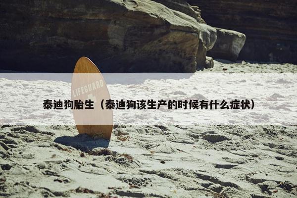 泰迪狗胎生（泰迪狗该生产的时候有什么症状）