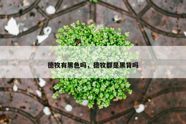 德牧有黑色吗，德牧都是黑背吗