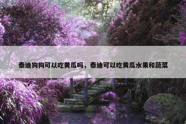 泰迪狗狗可以吃黄瓜吗，泰迪可以吃黄瓜水果和蔬菜
