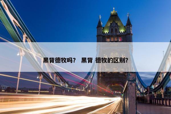 黑背德牧吗？ 黑背 德牧的区别？