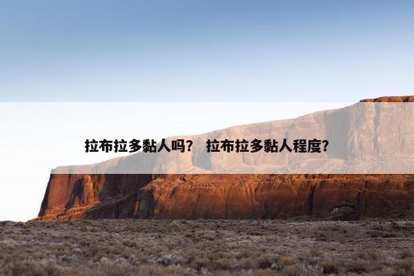 拉布拉多黏人吗？ 拉布拉多黏人程度？
