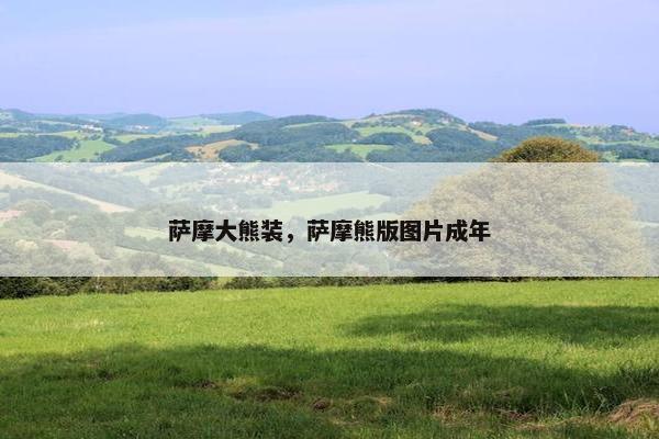 萨摩大熊装，萨摩熊版图片成年