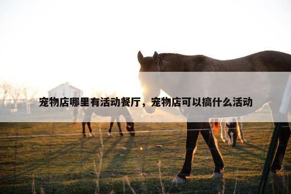 宠物店哪里有活动餐厅，宠物店可以搞什么活动