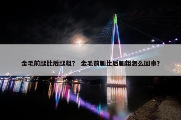 金毛前腿比后腿粗？ 金毛前腿比后腿粗怎么回事？