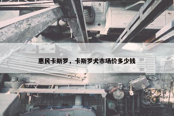 惠民卡斯罗，卡斯罗犬市场价多少钱