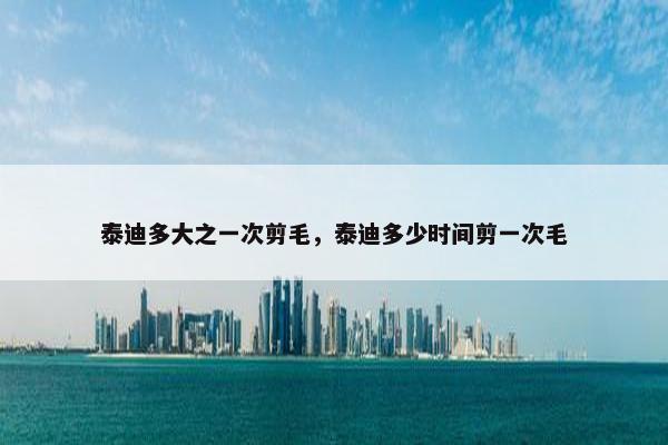 泰迪多大之一次剪毛，泰迪多少时间剪一次毛