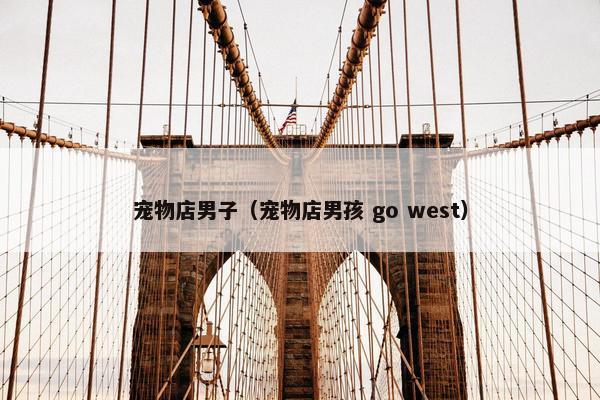 宠物店男子（宠物店男孩 go west）