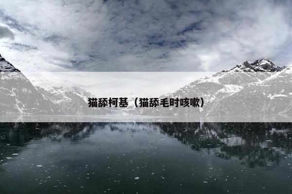 猫舔柯基（猫舔毛时咳嗽）