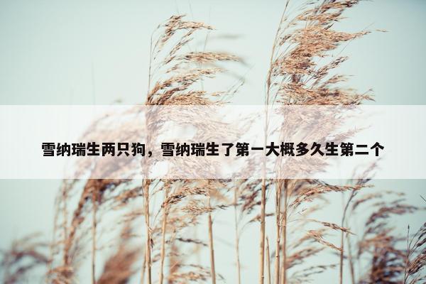 雪纳瑞生两只狗，雪纳瑞生了第一大概多久生第二个