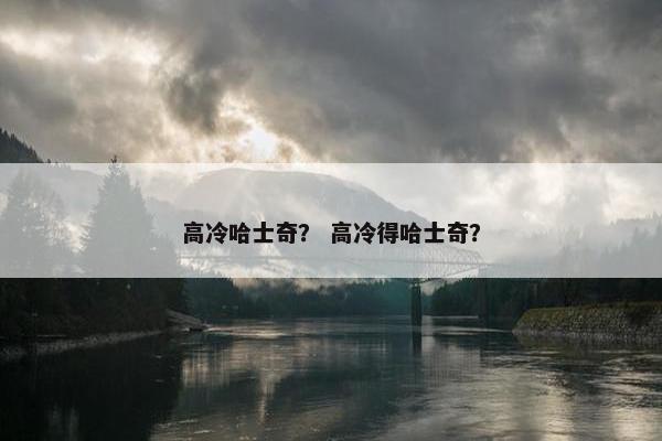 高冷哈士奇？ 高冷得哈士奇？