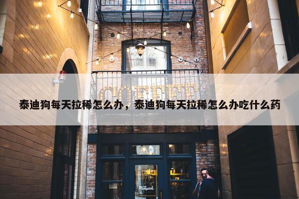 泰迪狗每天拉稀怎么办，泰迪狗每天拉稀怎么办吃什么药