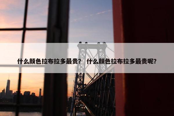 什么颜色拉布拉多最贵？ 什么颜色拉布拉多最贵呢？
