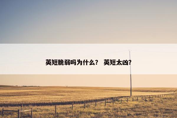 英短脆弱吗为什么？ 英短太凶？