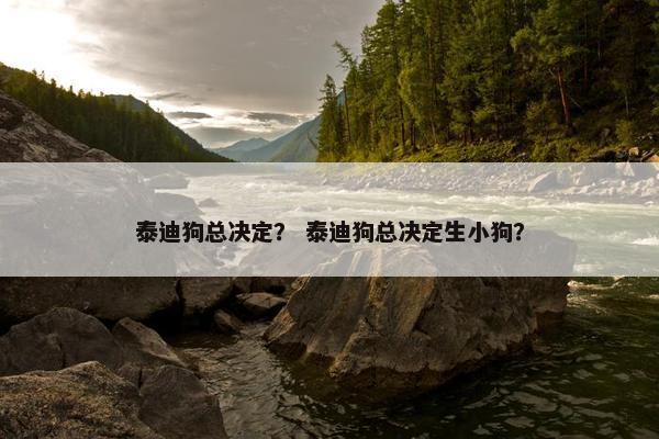 泰迪狗总决定？ 泰迪狗总决定生小狗？