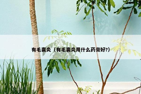 有毛囊炎（有毛囊炎用什么药膏好?）