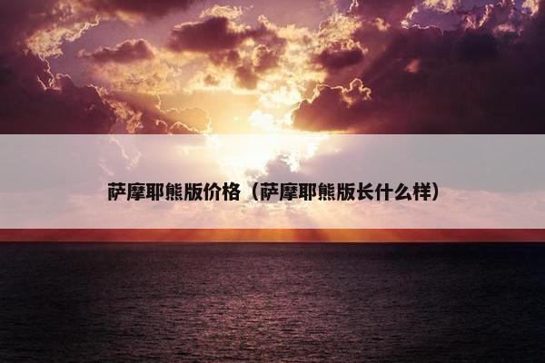 萨摩耶熊版价格（萨摩耶熊版长什么样）