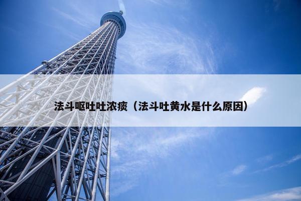 法斗呕吐吐浓痰（法斗吐黄水是什么原因）