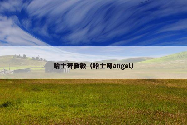 哈士奇敦敦（哈士奇angel）
